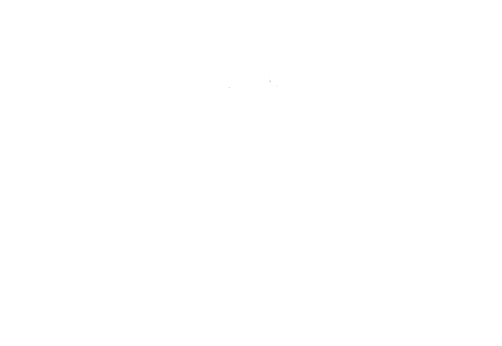 Pibakom temiz içerikli kozmetik markası Punya Care kurumsal beyaz logo